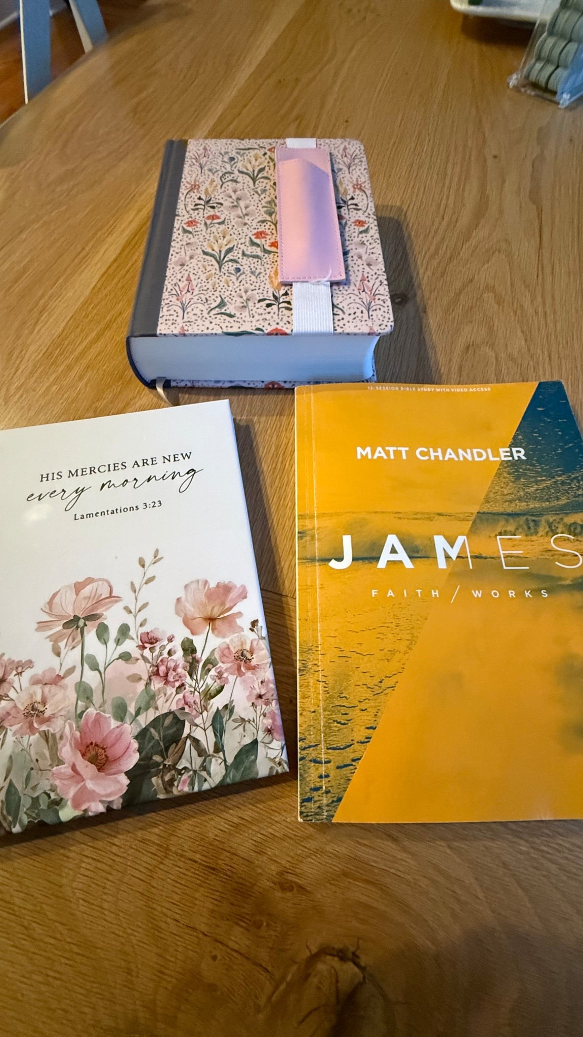 Loooving this Bible study on James! Definitely my favorite book of the Bible and this study takes you much deeper into it!!!

#LTKdayinmylife #LTKmorningroutine #LTKstorytime