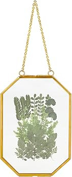Outgeek Gold Glass Floating Frame 4X6" Hanging Photo Frame for Pressed Flower Frame Small Dried F... | Amazon (US)