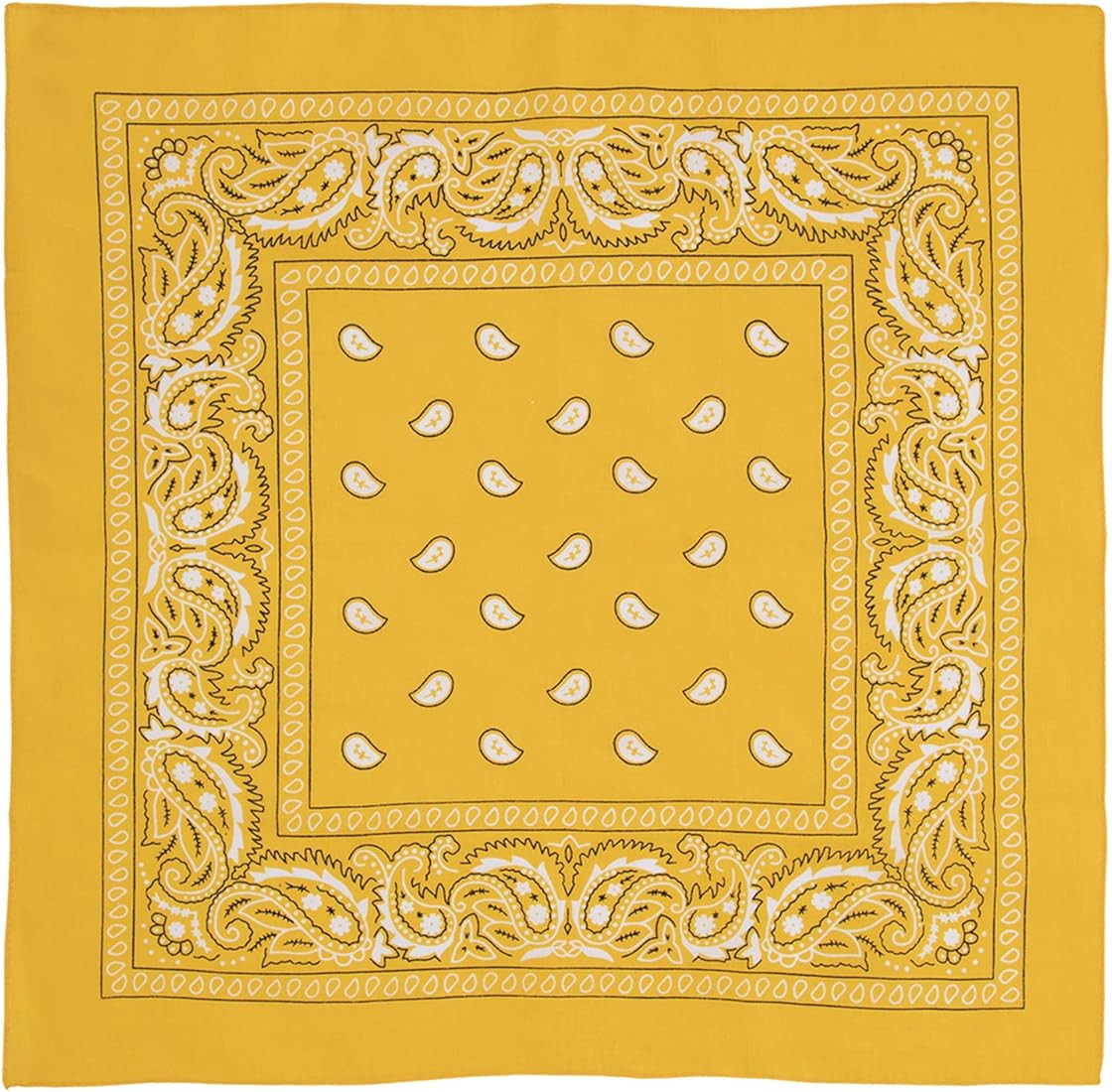 Large 100% Cotton Paisley Bandanas (22 inch x 22 inch) | Amazon (US)