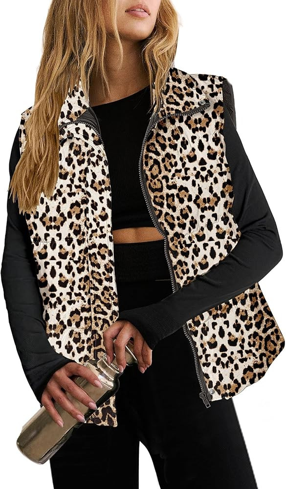 Zeagoo Women Puffer Vest Lightweight Stand Collar Sleeveless Winter Warm Zip Up Padded Outerwear ... | Amazon (US)