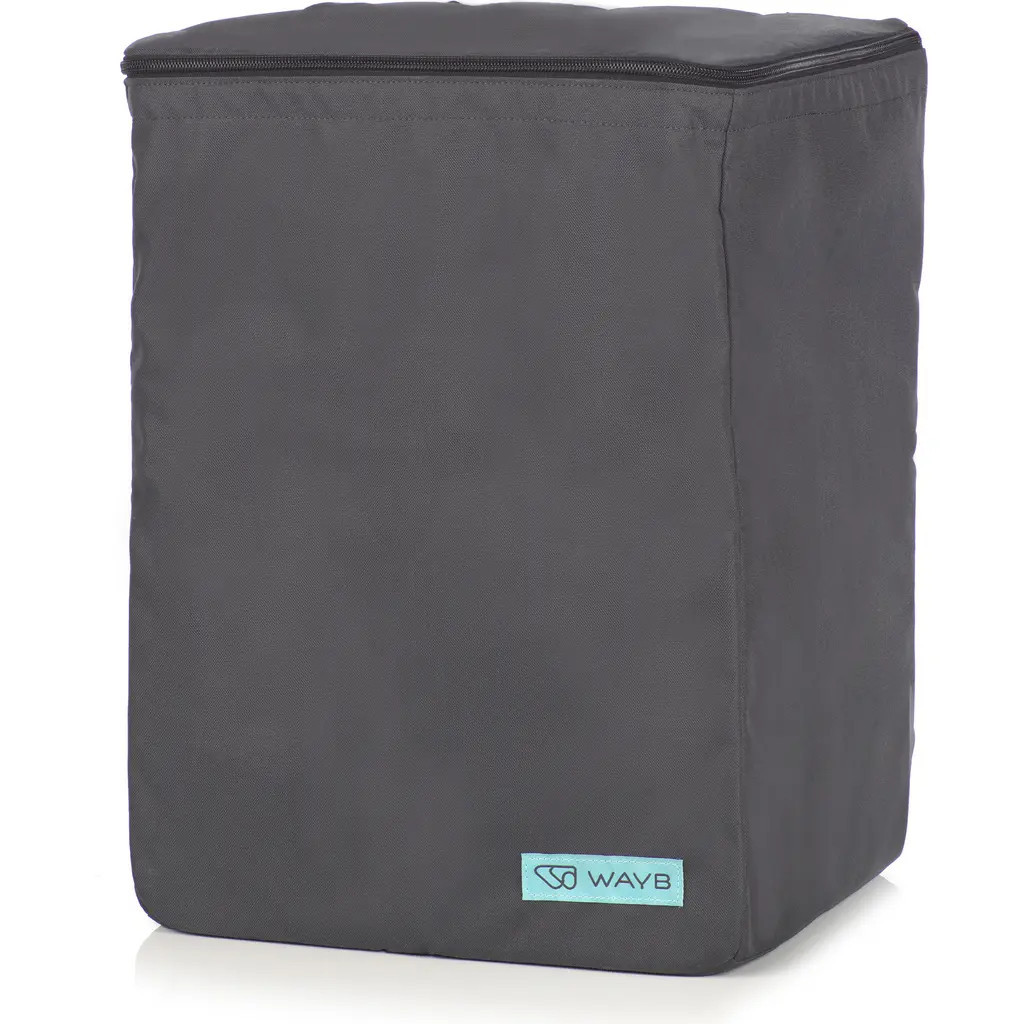 WAYB Pico Car Seat Travel Bag in Raven at Nordstrom | Nordstrom