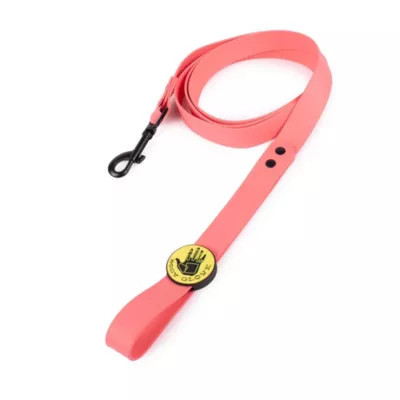 Carolina Pet Company Biothane Leash | Belk