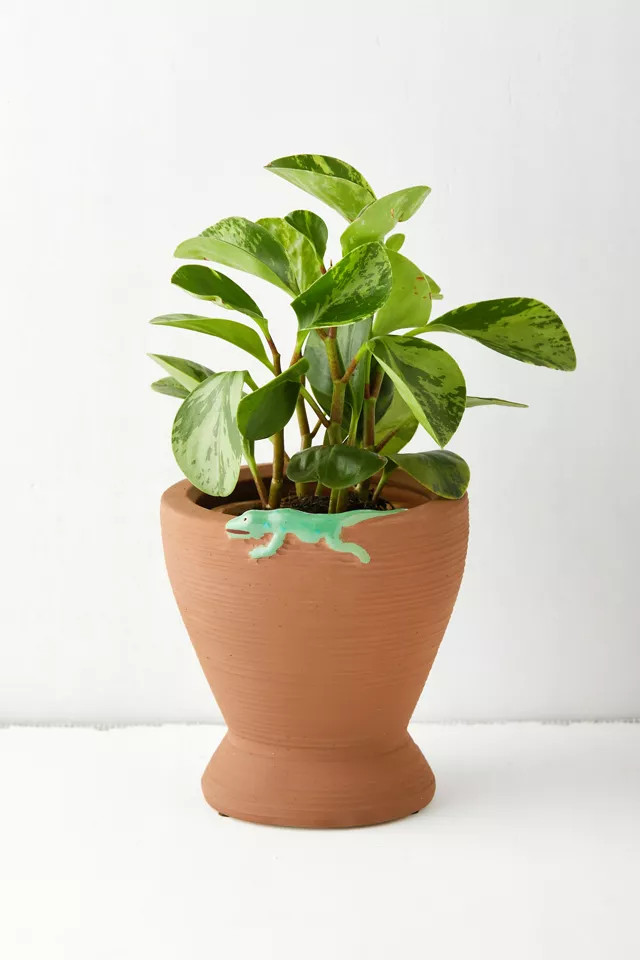 Ximena Planter | Urban Outfitters (US and RoW)