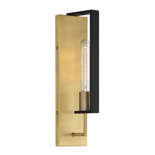 1 Light Wall Sconce | Wayfair North America