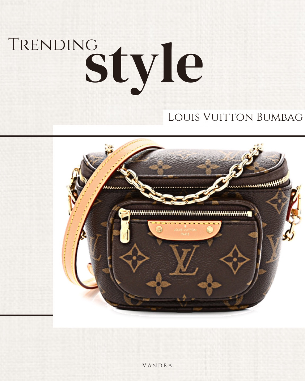 Louis Vuitton Monogram Bumbag curated on LTK