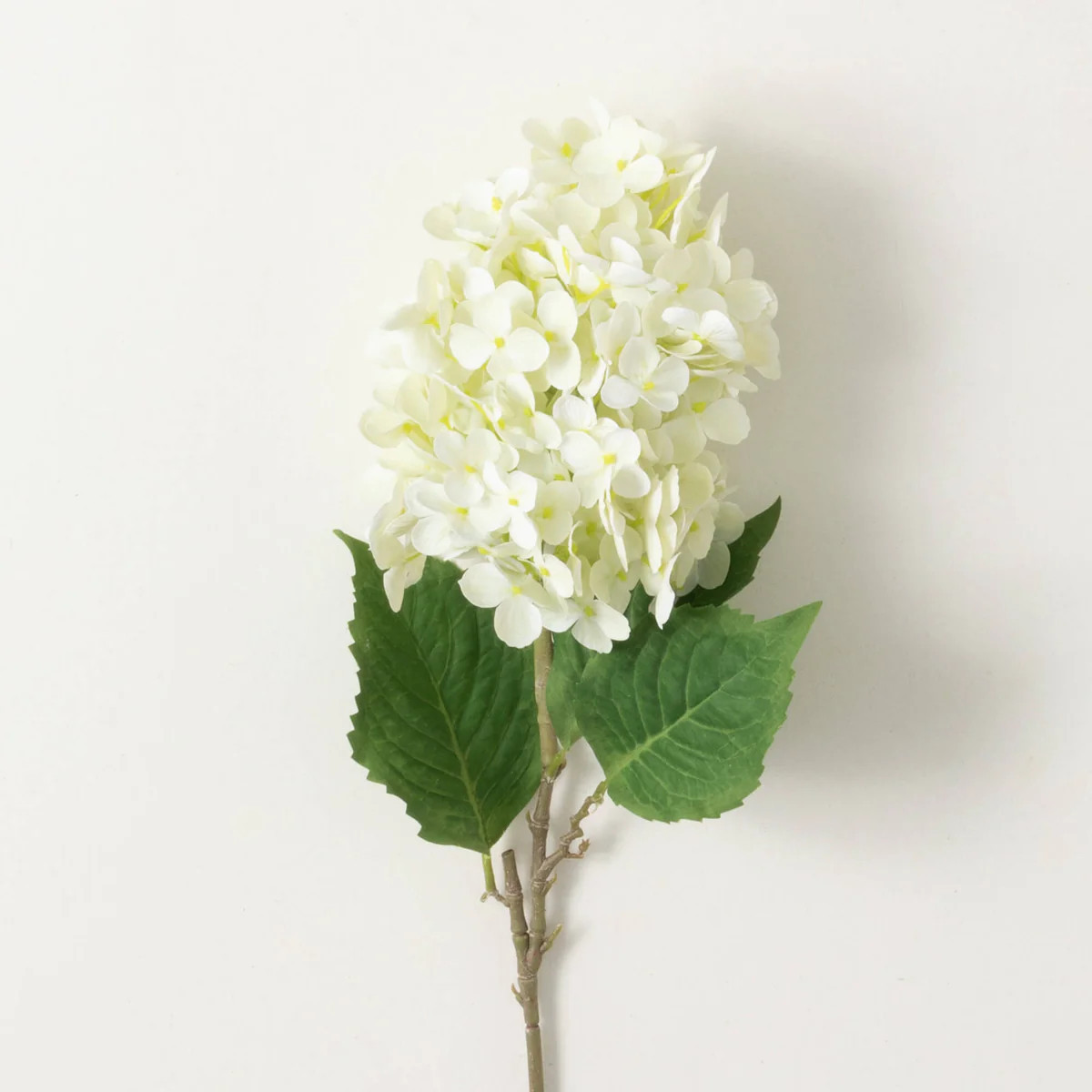 Ivory Cone Hydrangea Spray | Sullivans Home Decor