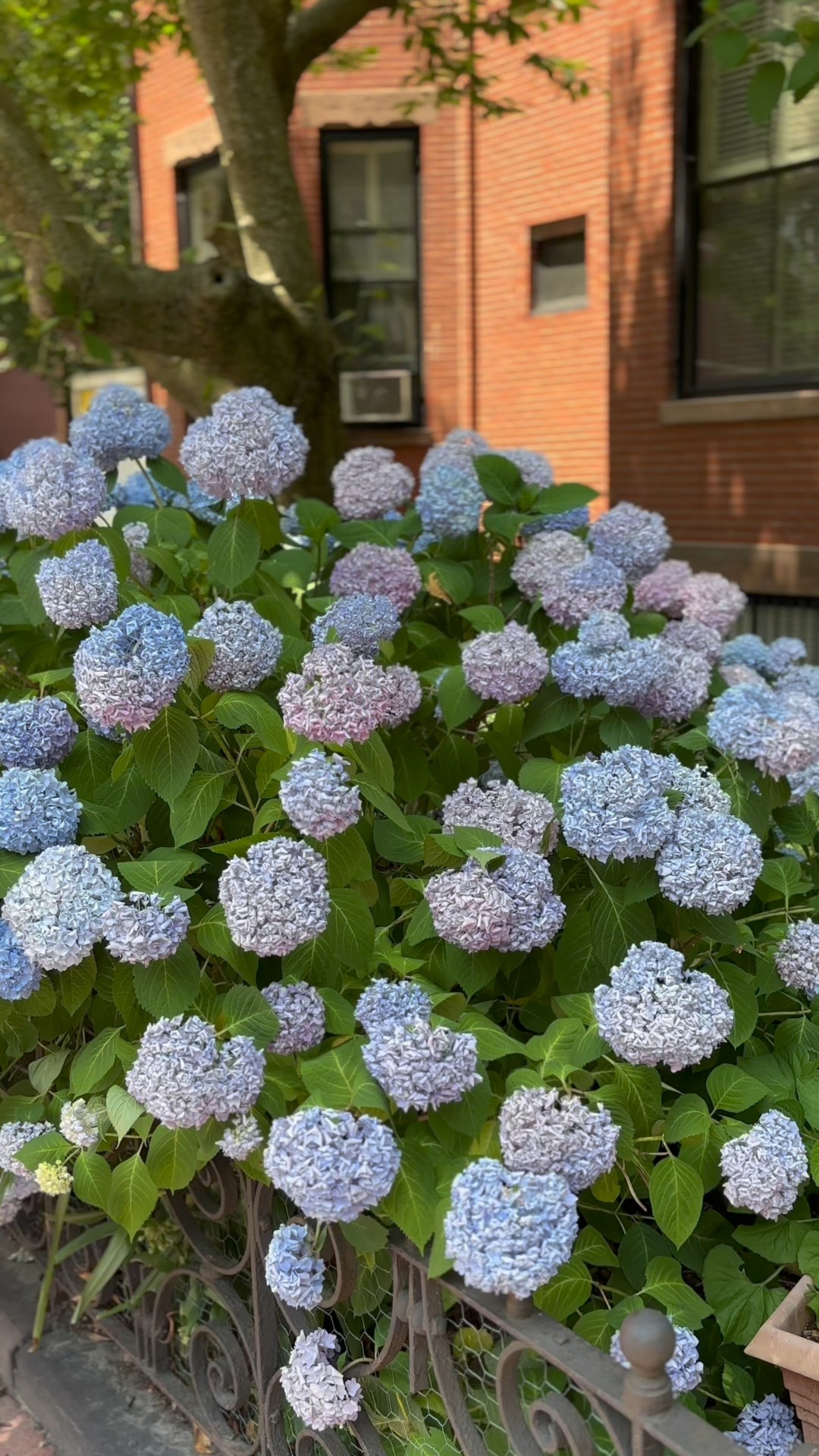 Top was purchased from Nuuly thrift- I linked a similar option 

#LTKSeasonal