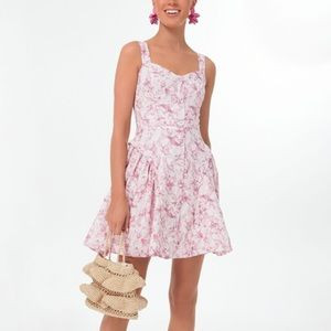 NWT Tuckernuck Pink Abstract Floral Rosemary Mini Dress | Poshmark