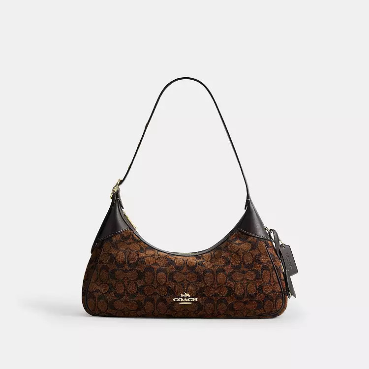 In Signature Chenille | Coach (US)