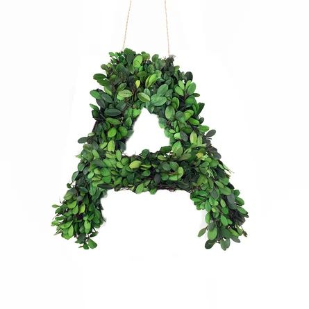 Abarca Faux Boxwood Letter Wreath | Wayfair North America