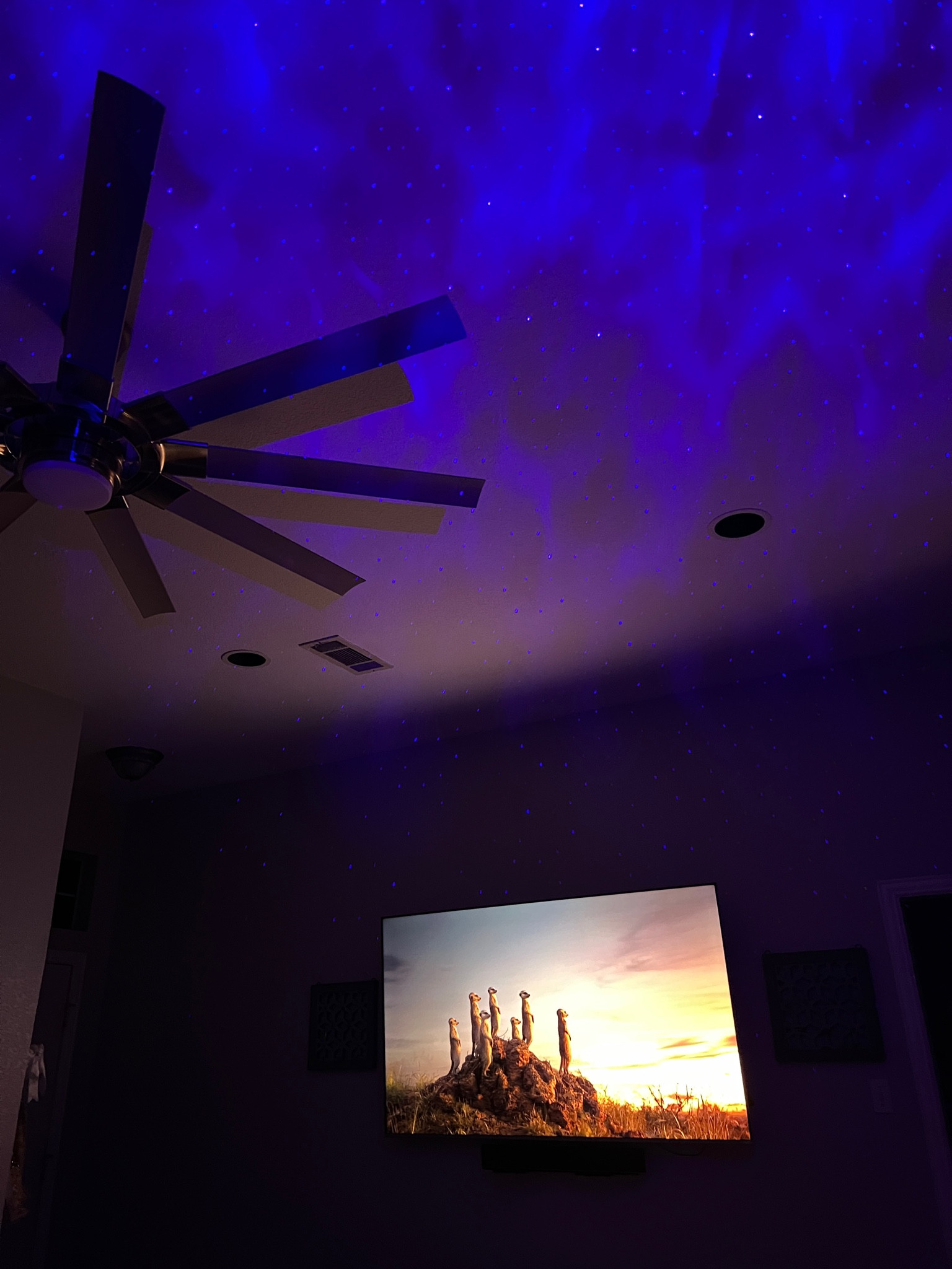 This skylight makes movie nights so dreamy ✨ 🌙 🍿 