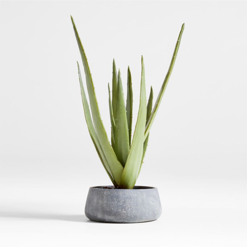 Artificial/Faux Potted Agave + Reviews | Crate & Barrel | Crate & Barrel