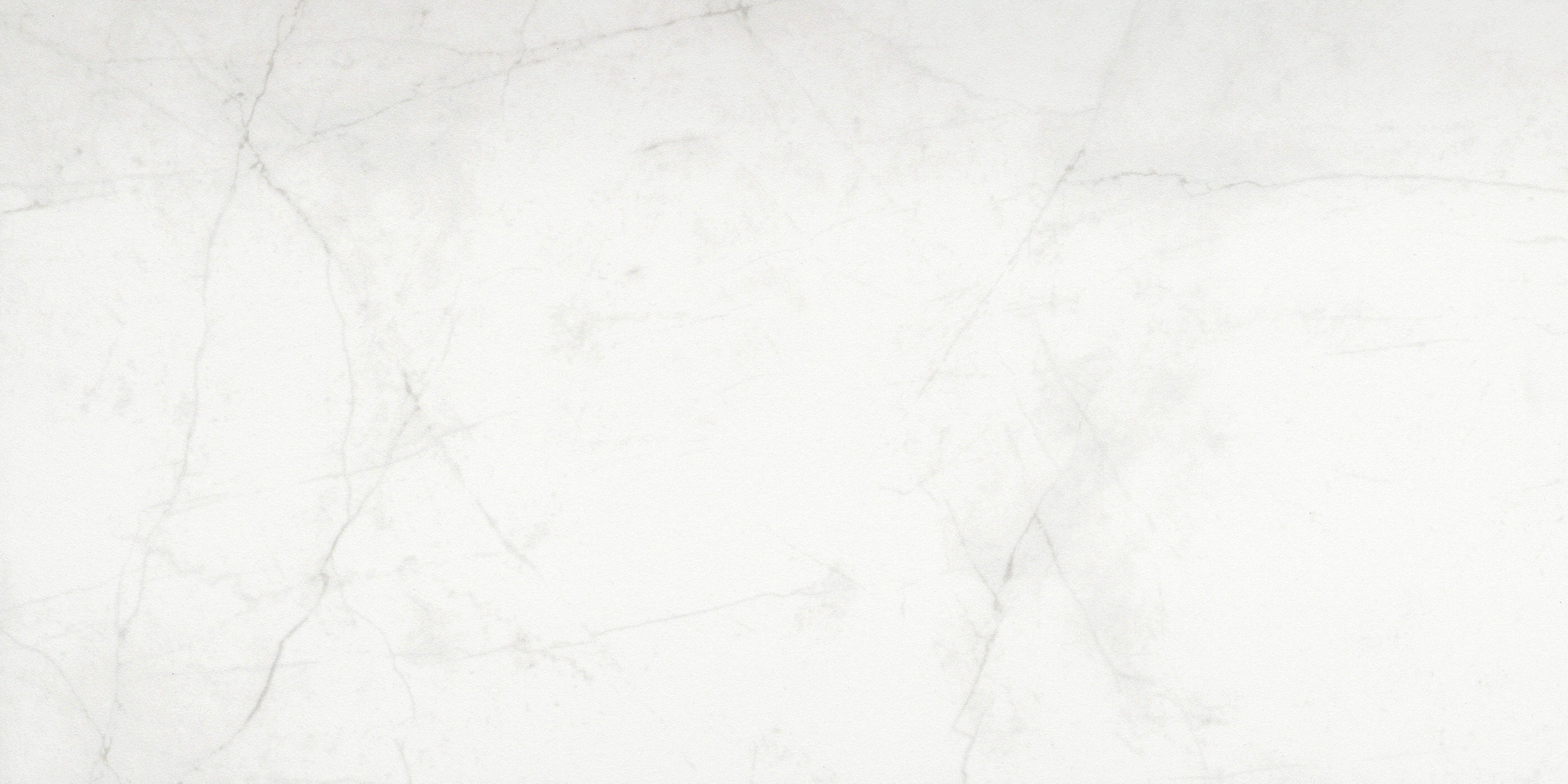 Sterlina II Silver 12 in. x 24 in. Matte Porcelain Floor and Wall Tile (15.5 sq. ft./Case) | Wayfair North America