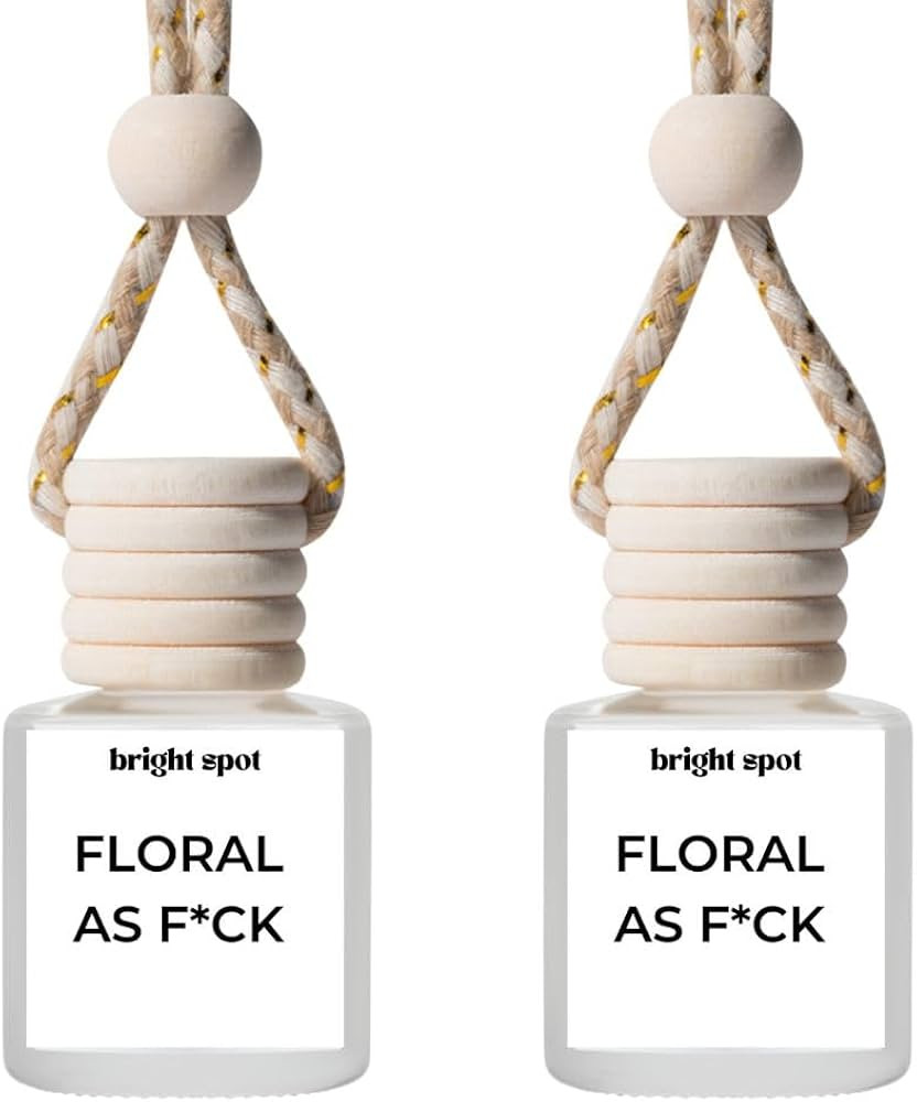 Bright Spot 120 Day Car Air Freshener - Long Lasting Cassis, Rose, Vanilla Scent for Auto and Hom... | Amazon (US)