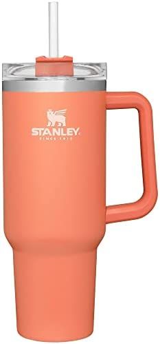 Amazon.com: Stanley Adventure Quencher Travel Tumbler : Home & Kitchen | Amazon (US)