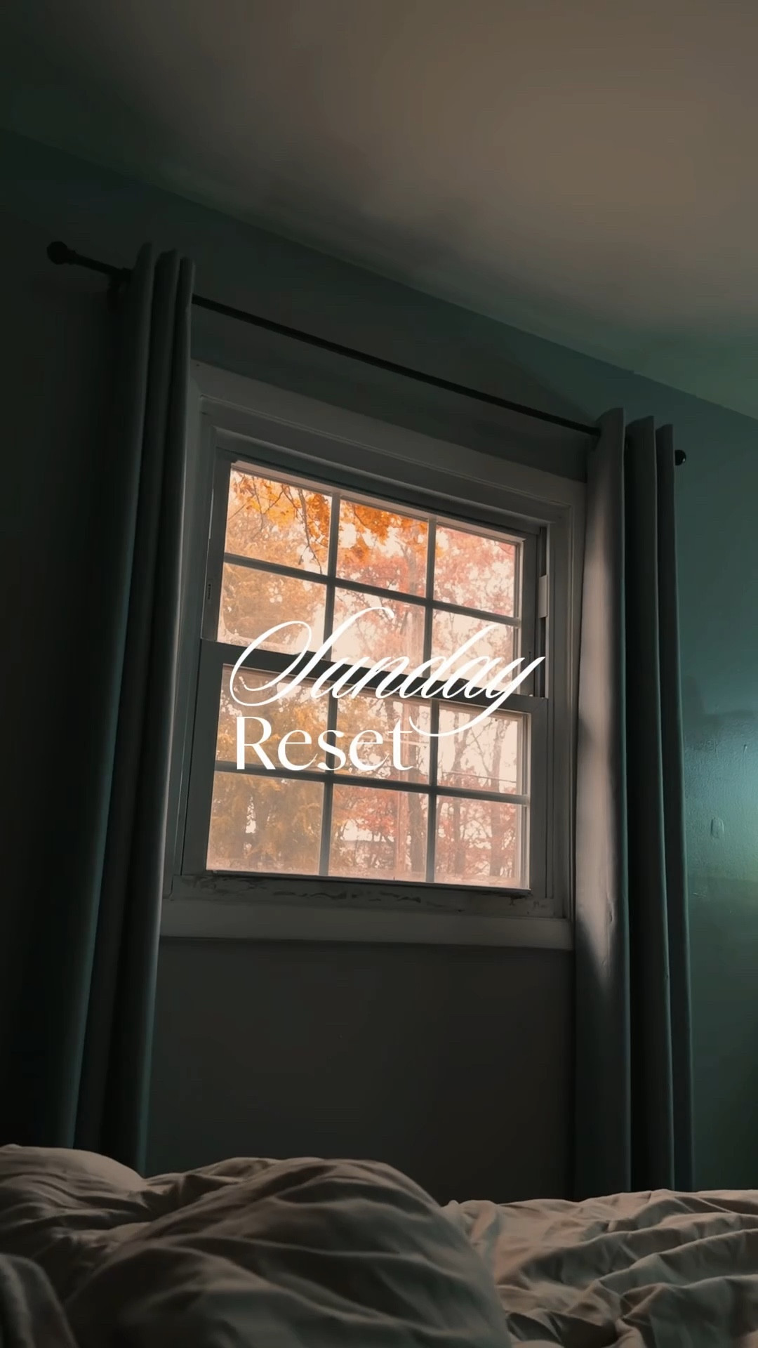 #sundayreset #home #amazon #walmart #clean