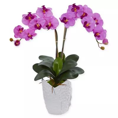 Orchid Arrangement | Bed Bath & Beyond