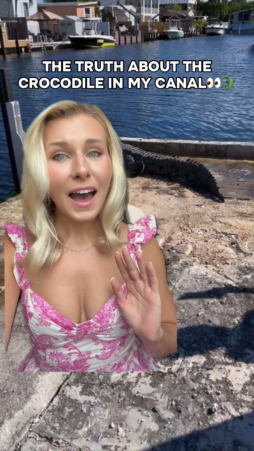The truth about the crocodile in my canal🫣😳🐊 and WHY I still paddleboard in the Croc Canal

#crocodile #alligator #manatee #florida #greenscreenvideo