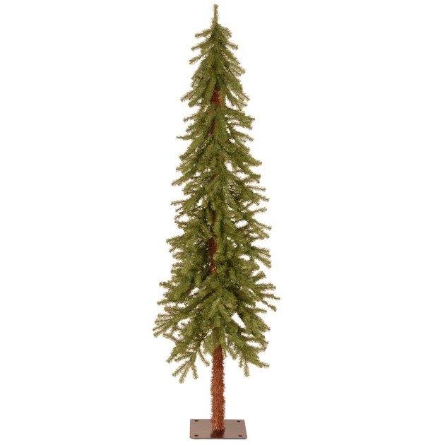 6' Hickory Cedar Tree | Riverbend Home
