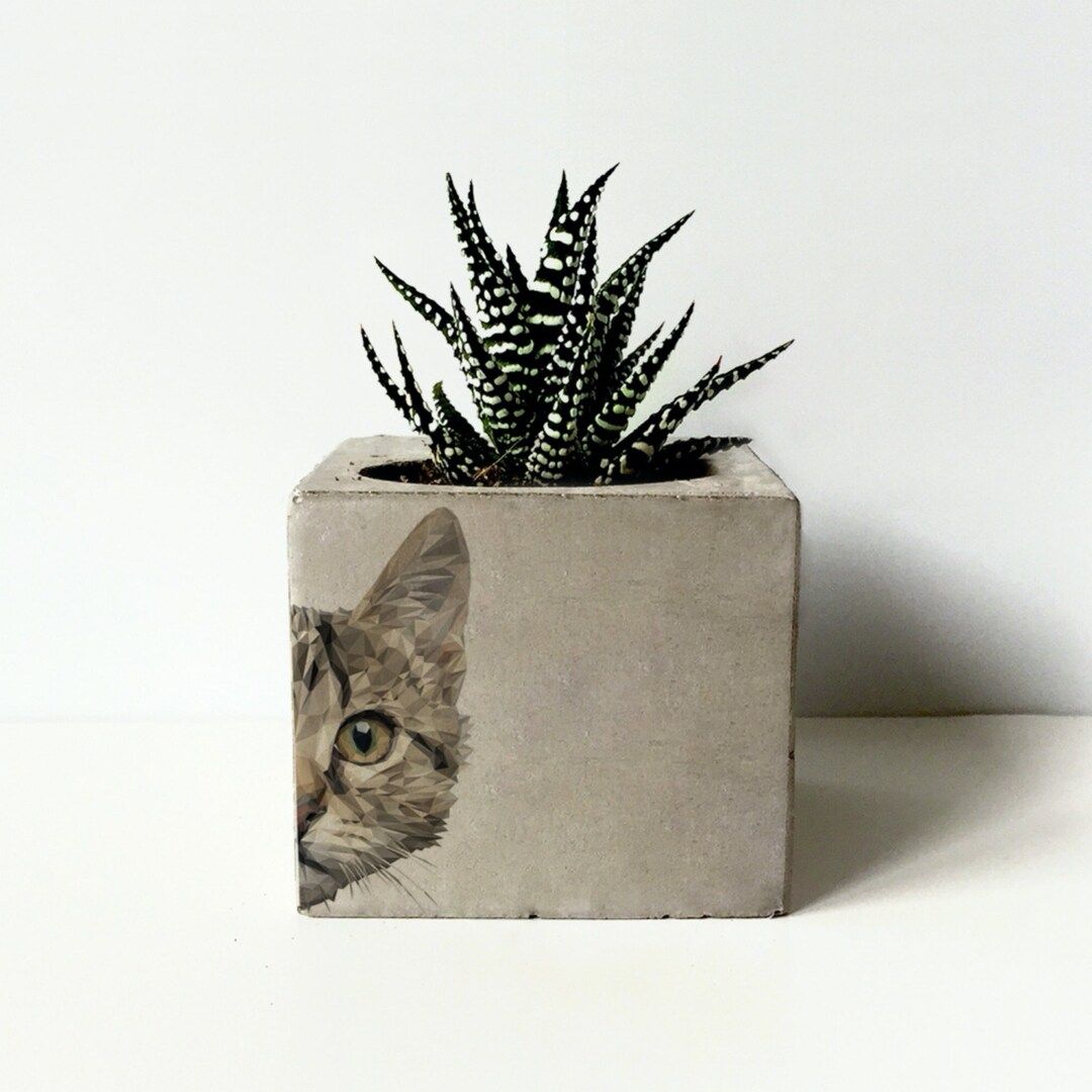 Cat Printed Concrete Planter, Succulent Holder, Concrete Cactus Pots, Animal Prints Gift, Office ... | Etsy (US)