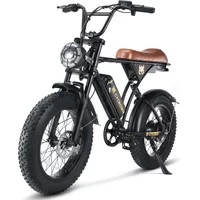 Cycrown RUN adult E-bicycle 750W electric bicycle 36V 10.4Ah dual battery, 20-inch fat tire off-road E-Mountain bike | AliExpress (US)