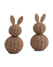 Set Of 2 Woven Bunnies | TJ Maxx