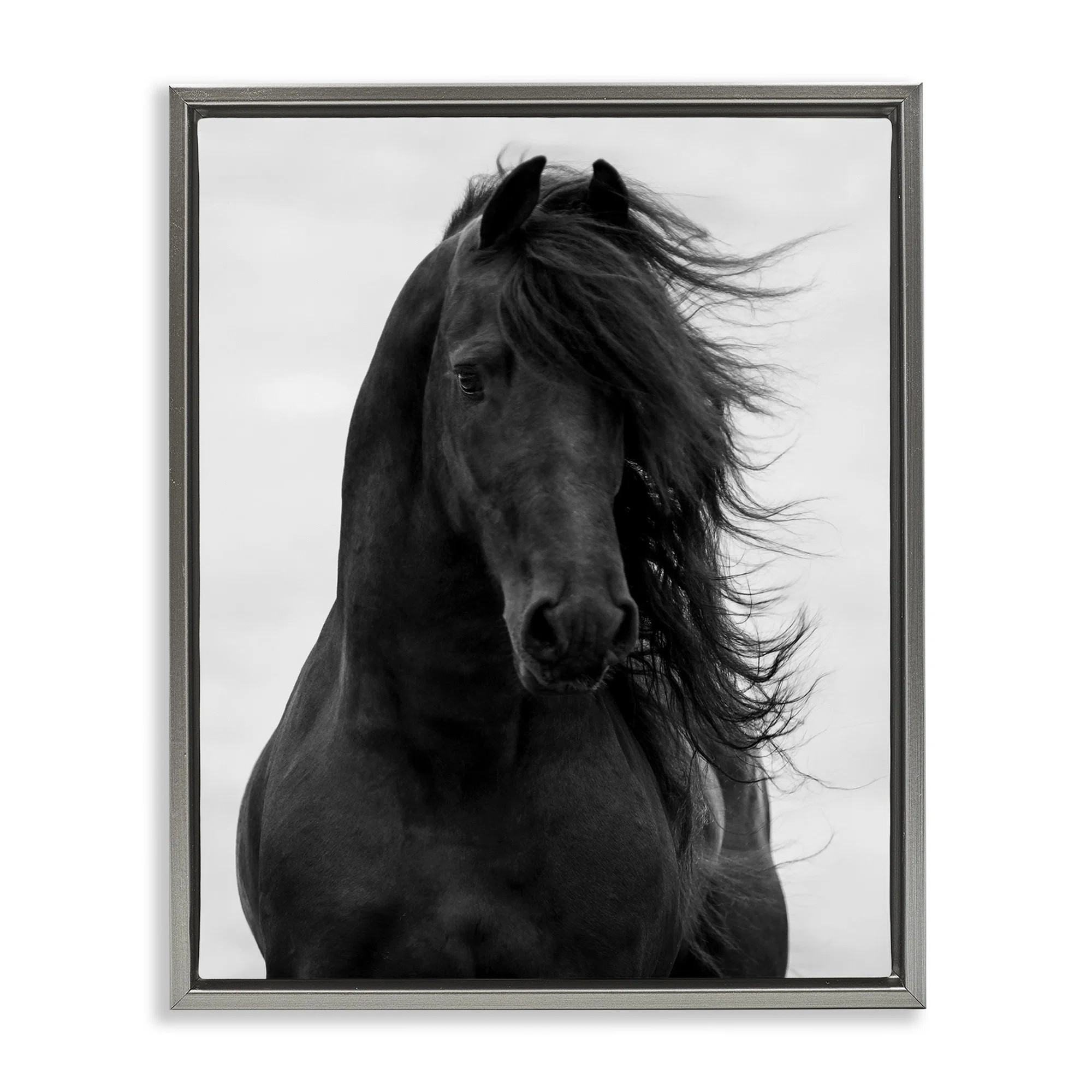 Black Stallion Horse Portrait Grain Framed Floater Canvas Wall Art by Carol Walker | Wayfair | Wayfair North America