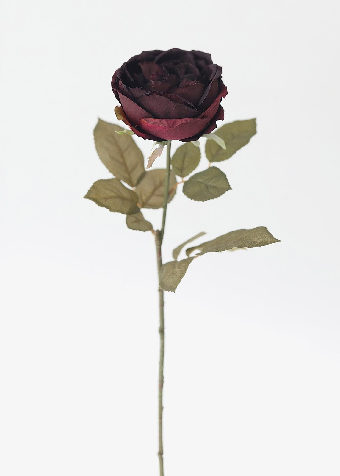 Plum Eggplant Silk English Cabbage Rose - 25" Tall | Afloral (US)