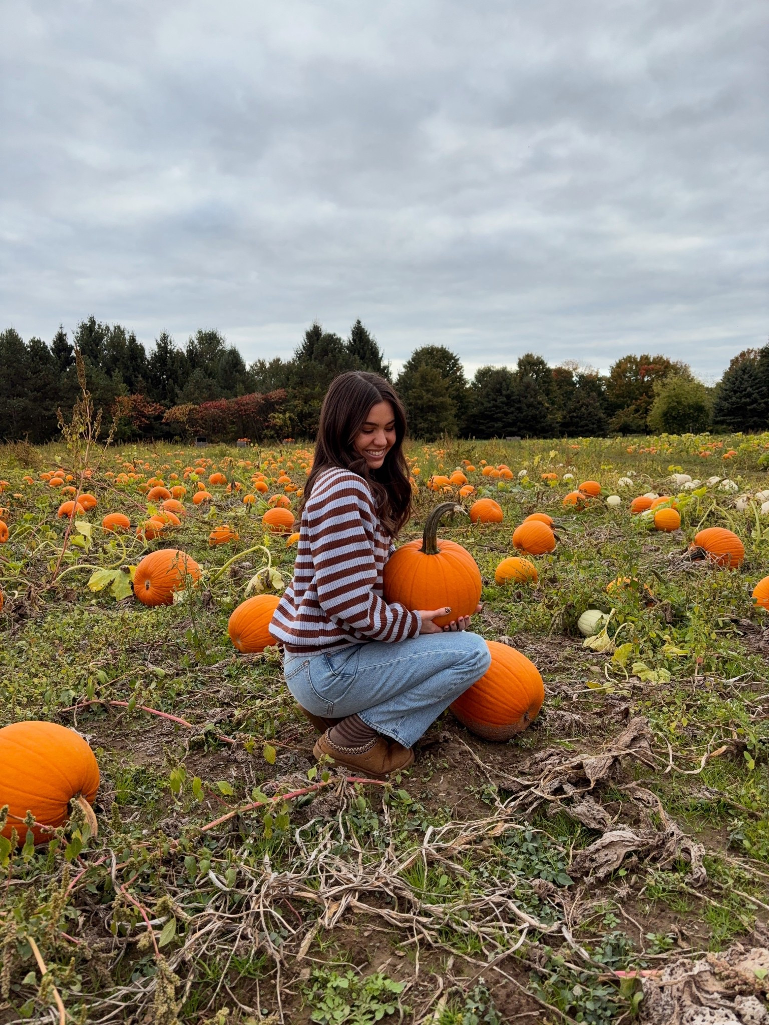 pumpkin patch season!! 🎃

#LTKFindsUnder100 #LTKSeasonal #LTKHalloween