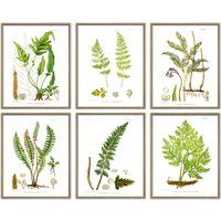 Fern Art Print, Botanical Wall Decor, Watercolor Painting Prints, Green Plant Posters, Large Decor S | Etsy (US)