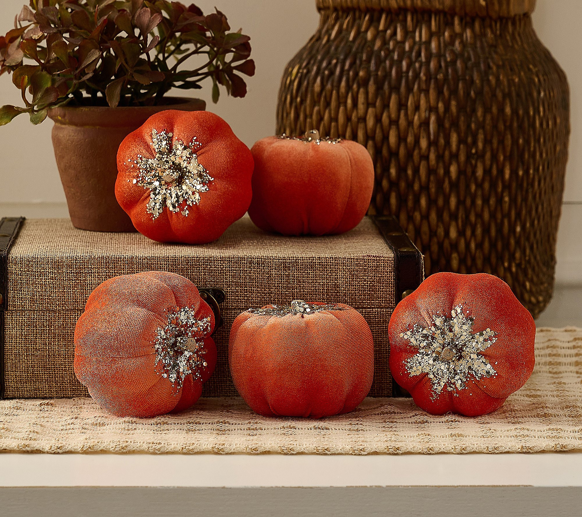 Set of 5 (3") Velvet Glitter Pumpkins by Valerie | QVC