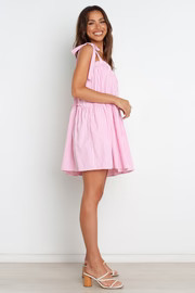 Selina Dress - Pink Stripe | Petal & Pup (US)