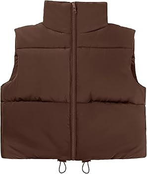 AKEWEI Women's Winter Crop Vest Warm Sleeveless Coat Jacket Lightweight Puffer Gilet Outerwear wi... | Amazon (US)