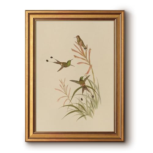 Bzstyleart Vintage Wall Art Decor for Living Room,Framed Wall Art Decor,Animals Hummingbird Picture,Home Decor Aesthetic Gifts for Friends or Family - Hummingbird Perched Canvas Prints,16L x 12W | Amazon (US)