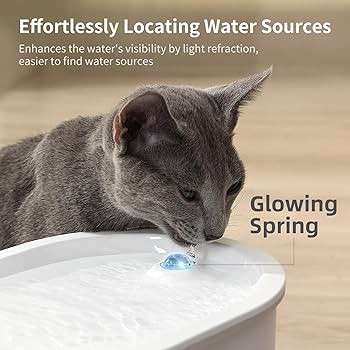 uahpet 2023 Upgraded Cat Water Fountain, Wireless & Battery Operated Glowing Pet Water Fountain f... | Amazon (US)