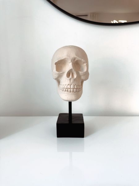 My skull statue is back!! It comes all black, so I used a soft beige and white paint to create a bone color

Tj maxx Halloween, neutral Halloween, LTK Halloween 

#LTKhome #LTKSeasonal #LTKFind