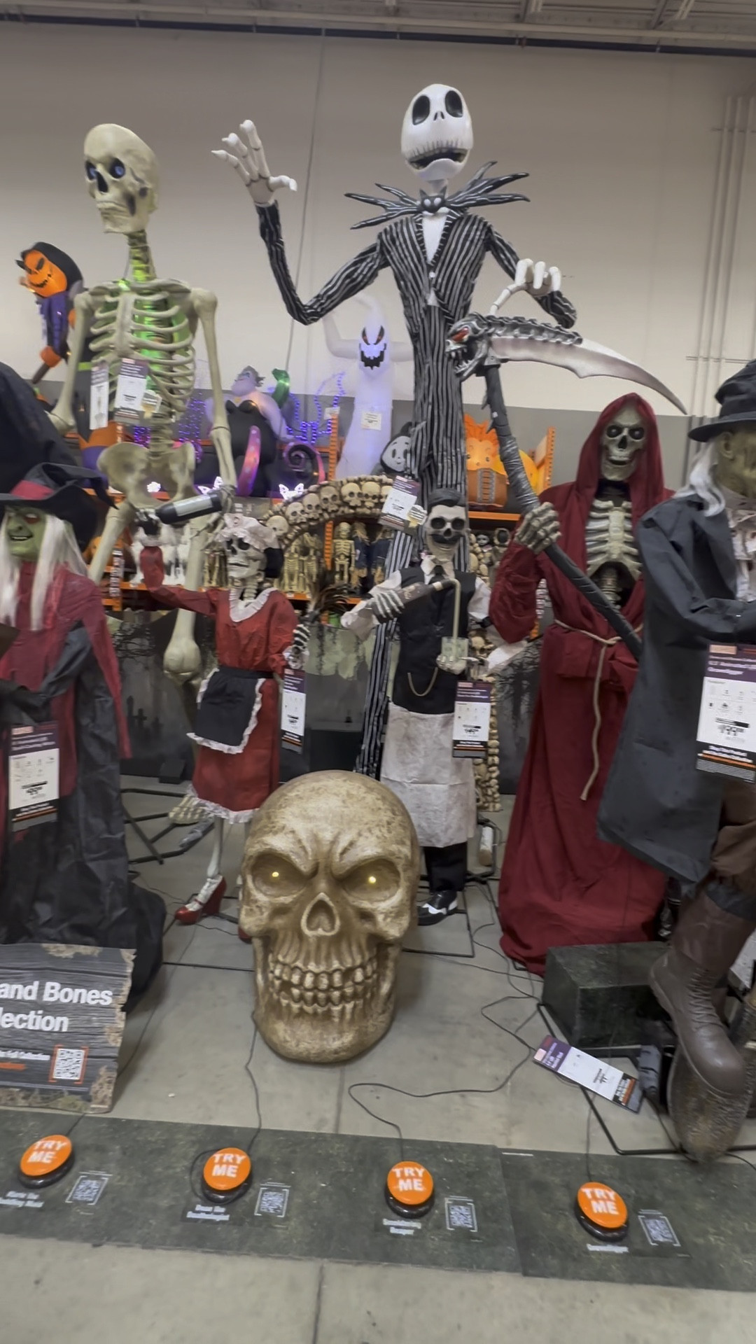 Outdoor Halloween decorations 
Skeletons 
Bats 
Pumpkins 
Spooky 
Spiders 

#LTKHoliday #LTKSeasonal #LTKparties