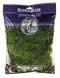 SuperMoss (21542) Mood Moss Preserved, Fresh Green, 4oz | Amazon (US)