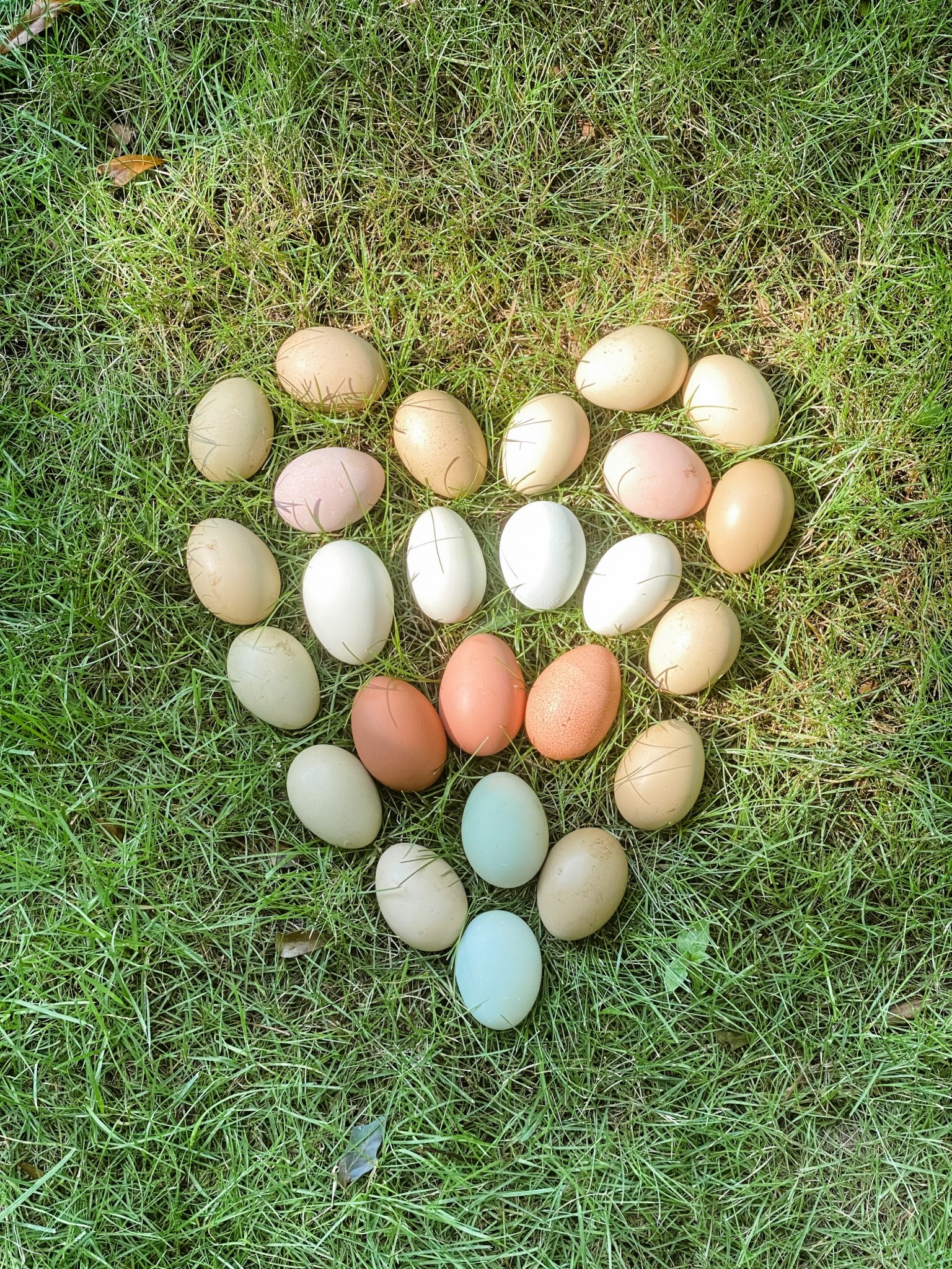 We get a lot of different colors from our ladies 

#LTKOver40 #LTKHome #LTKActive