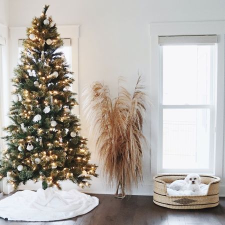 I put my christmas trees up yesterday and it’s feeling like the holidays in my home! we love our pre-lit, artificial christmas tree. 🤍 linking similar styles as well! 🎄 christmas decor | neutral christmas decor | christmas tree | pre-lit christmas tree | holidays at home

#LTKhome #LTKHoliday #LTKSeasonal