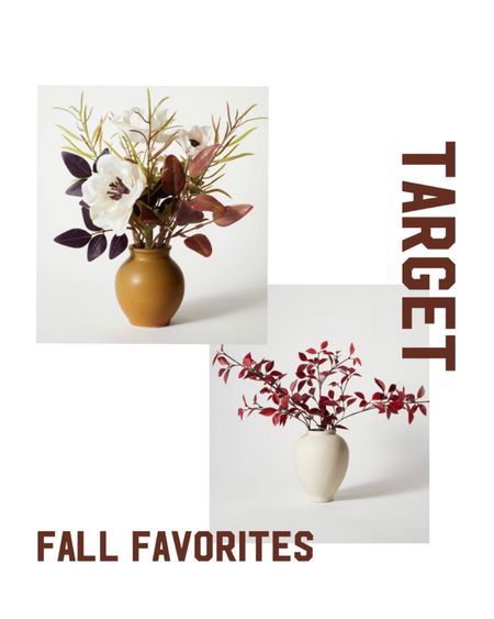 Fall season is upon us how pretty are these target fall stems. 

#LTKSeasonal #LTKstyletip #LTKhome