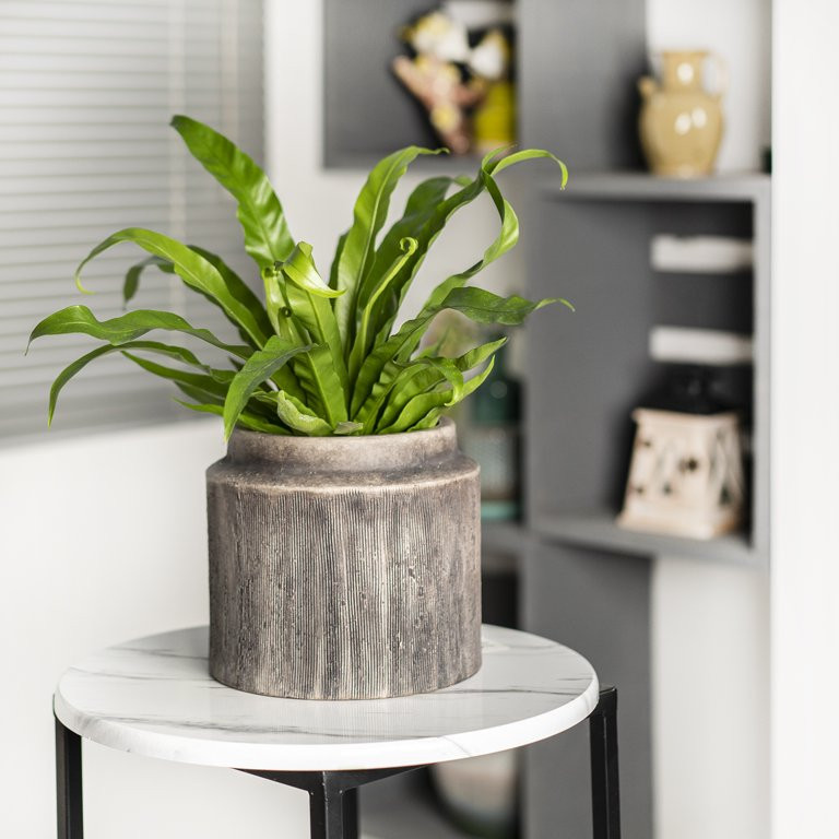 Better Homes & Gardens Pottery 8" Alexander Ceramic Planter, Brown | Walmart (US)