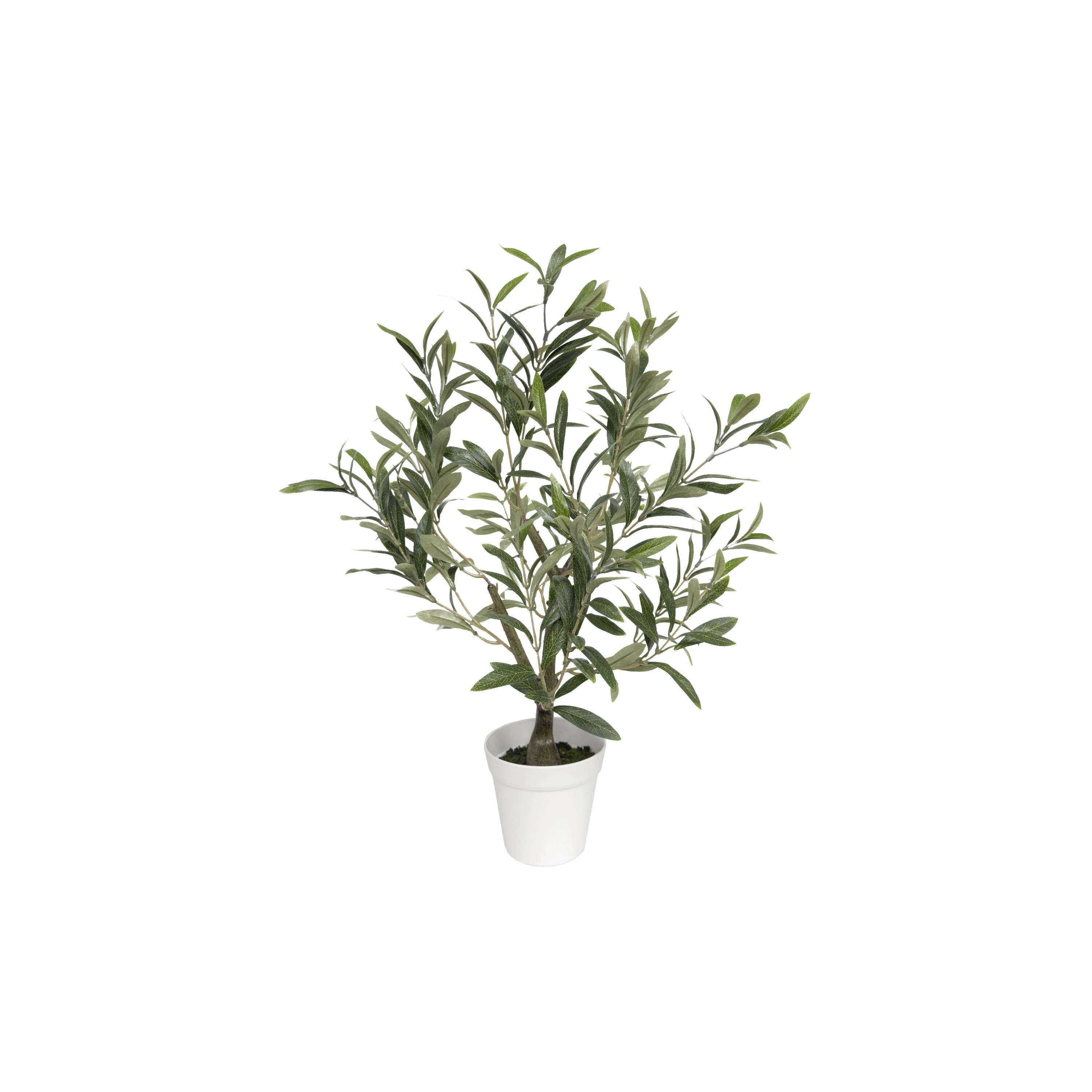 Table Top Olive Tree | Wayfair North America