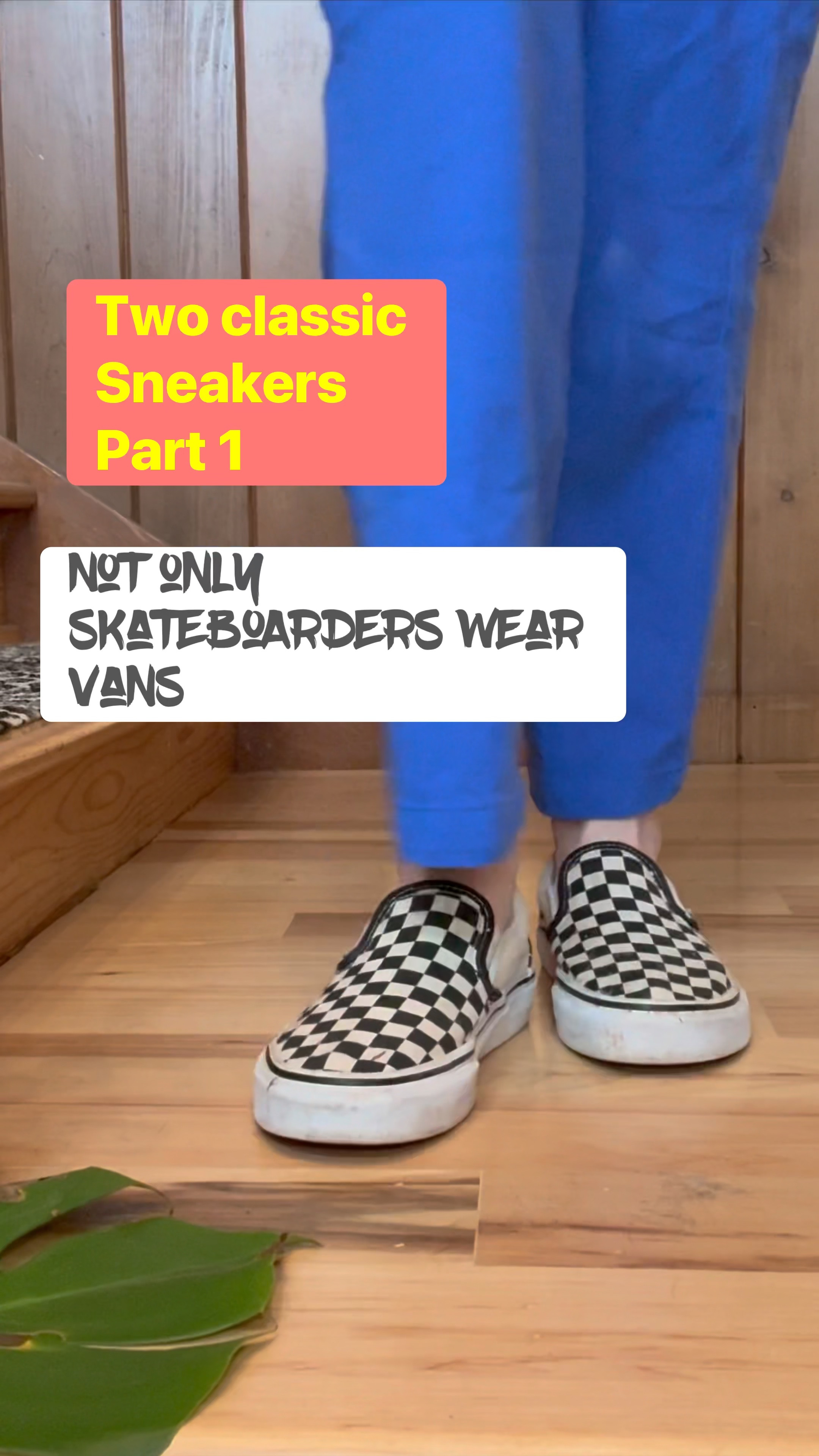 I wear these classic sneakers all of the time. Converse and  vans are easy and Comfortable sneakers. ❤️💋

#LTKover40 #LTKFestival #LTKfindsunder100