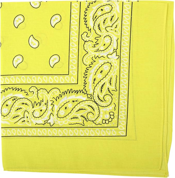 22 Inch Cotton Paisley Bandana | Multi-Purpose Headband, Unisex Handkerchief & Cowboy Scarf for W... | Amazon (US)