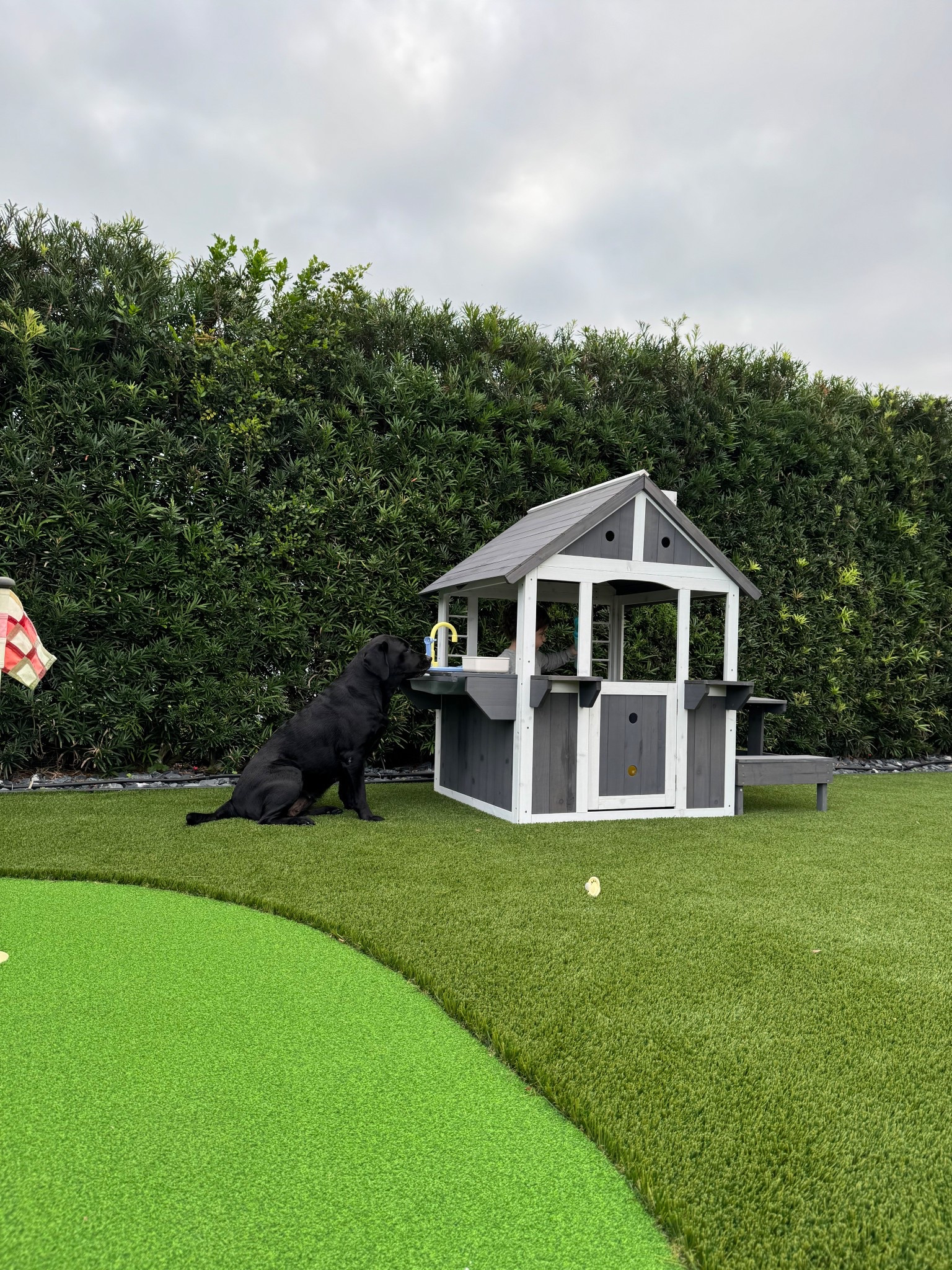 Cutie little backyard play house 

#LTKBaby #LTKKids #LTKSaleAlert