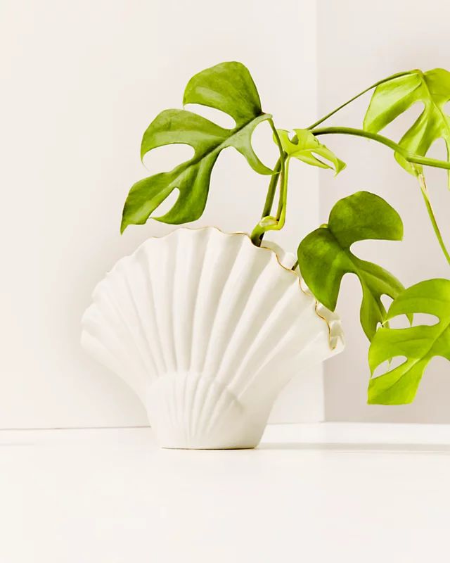 Seashell Vase | Lilly Pulitzer