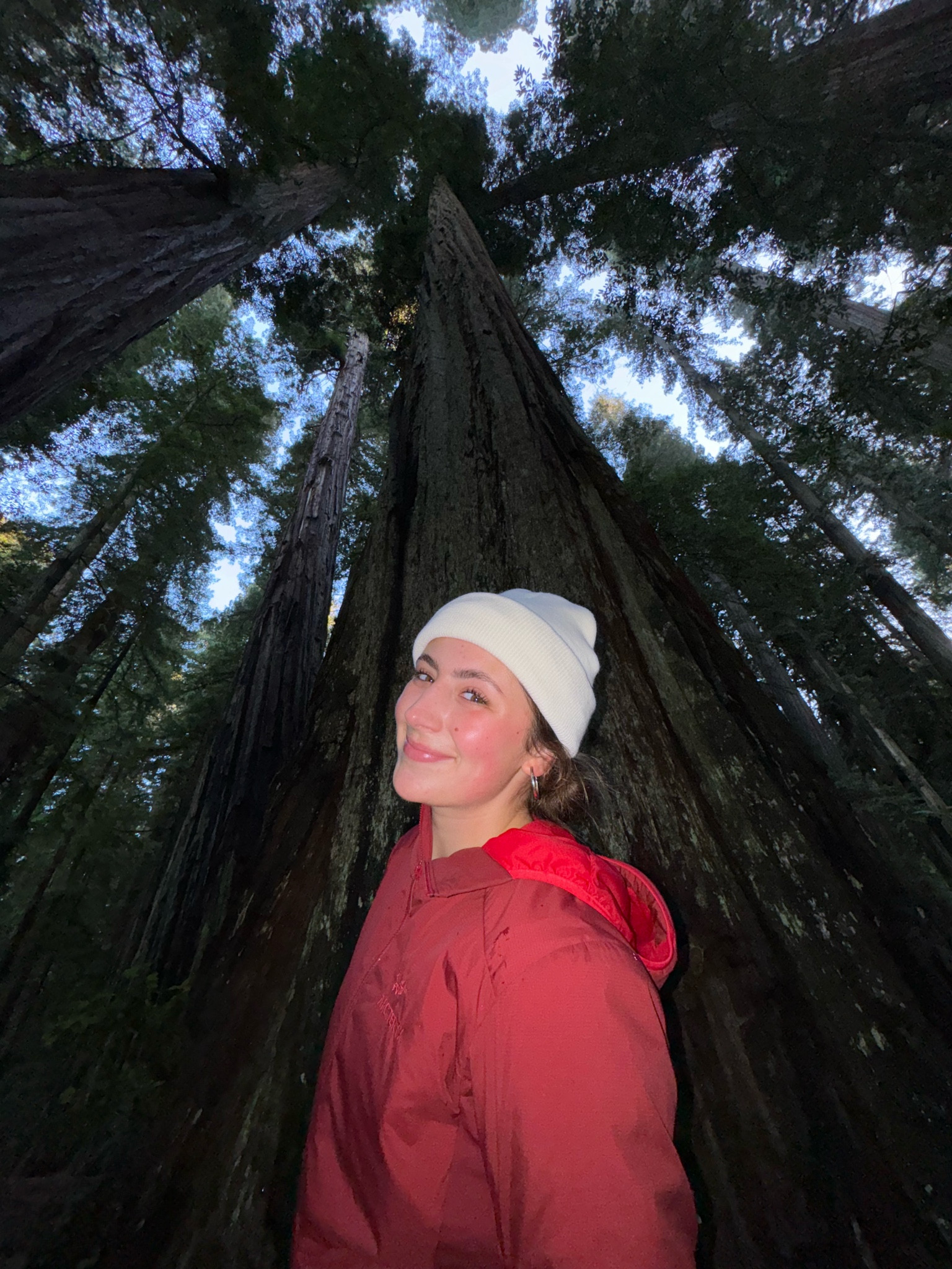 The REDWOODS!!

#LTKtravel