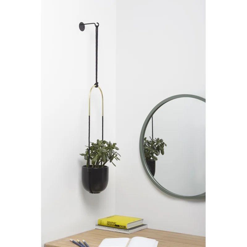 Bolo Stoneware Ceramic Hanging Planter | Wayfair Professional