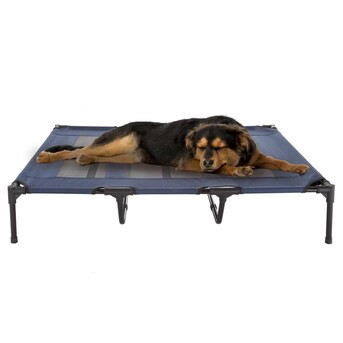 PETMAKER Rectangular Navy Blue Pillow Dog Bed (Extra Large) | Lowe's